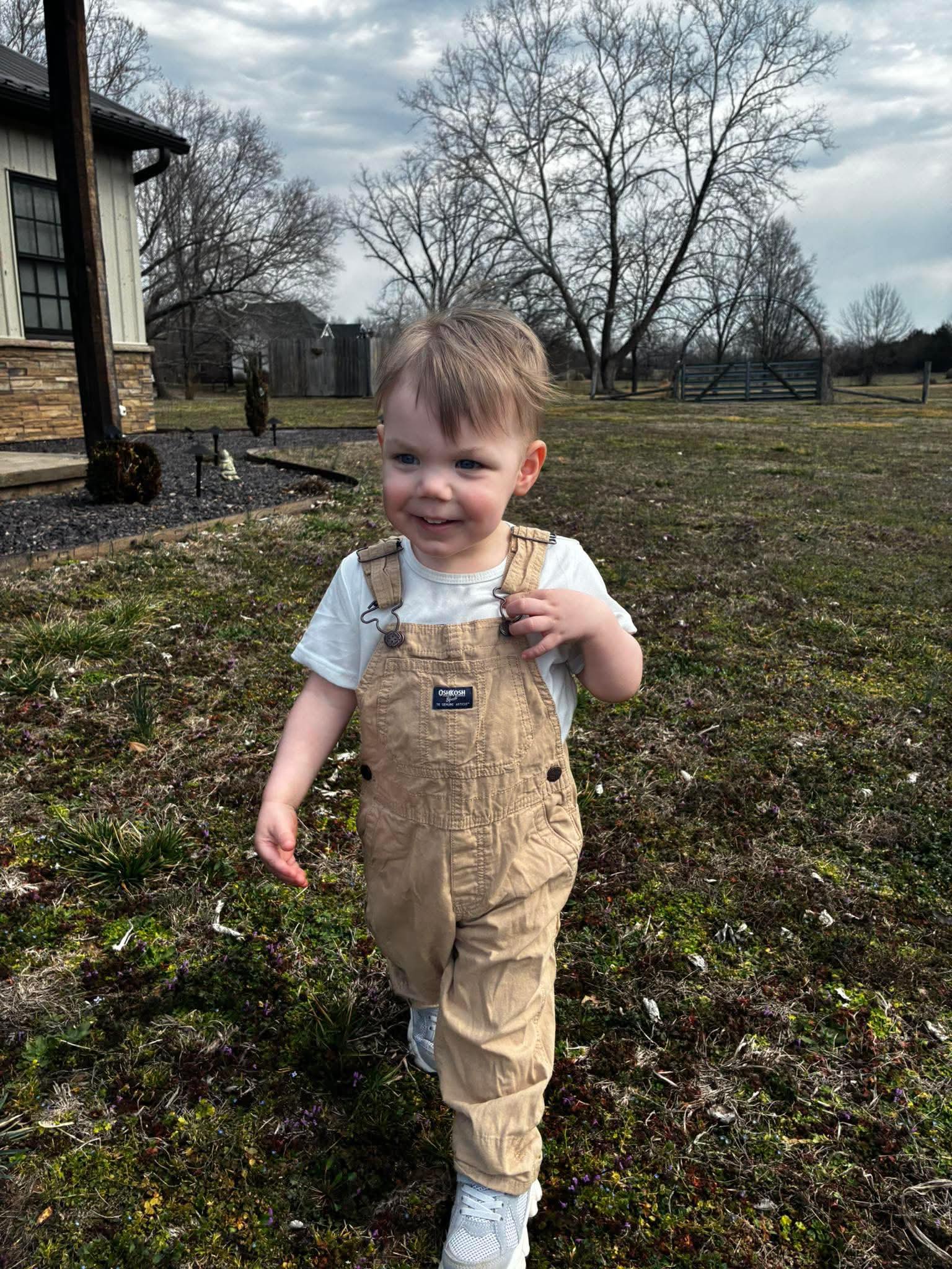 The next generation of Faith Family Farms