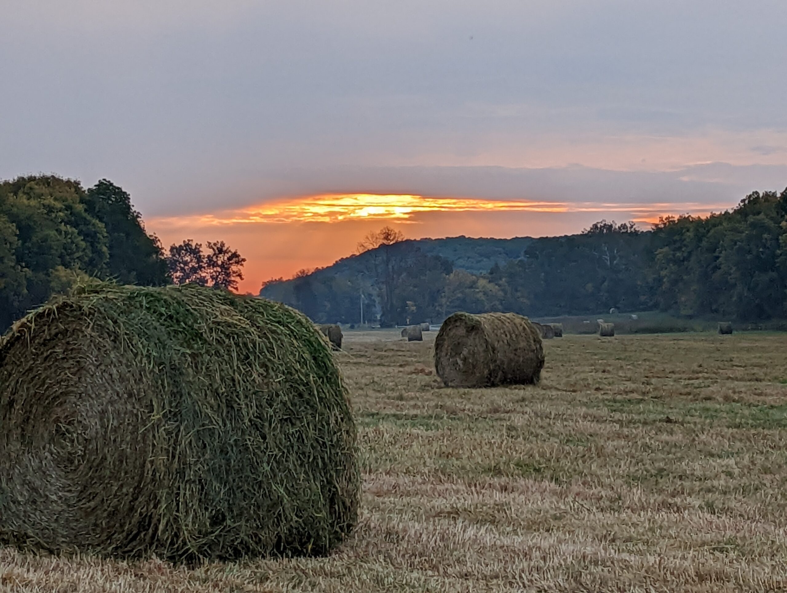 Hay bales in the field at Faith Family Farms at sunset
