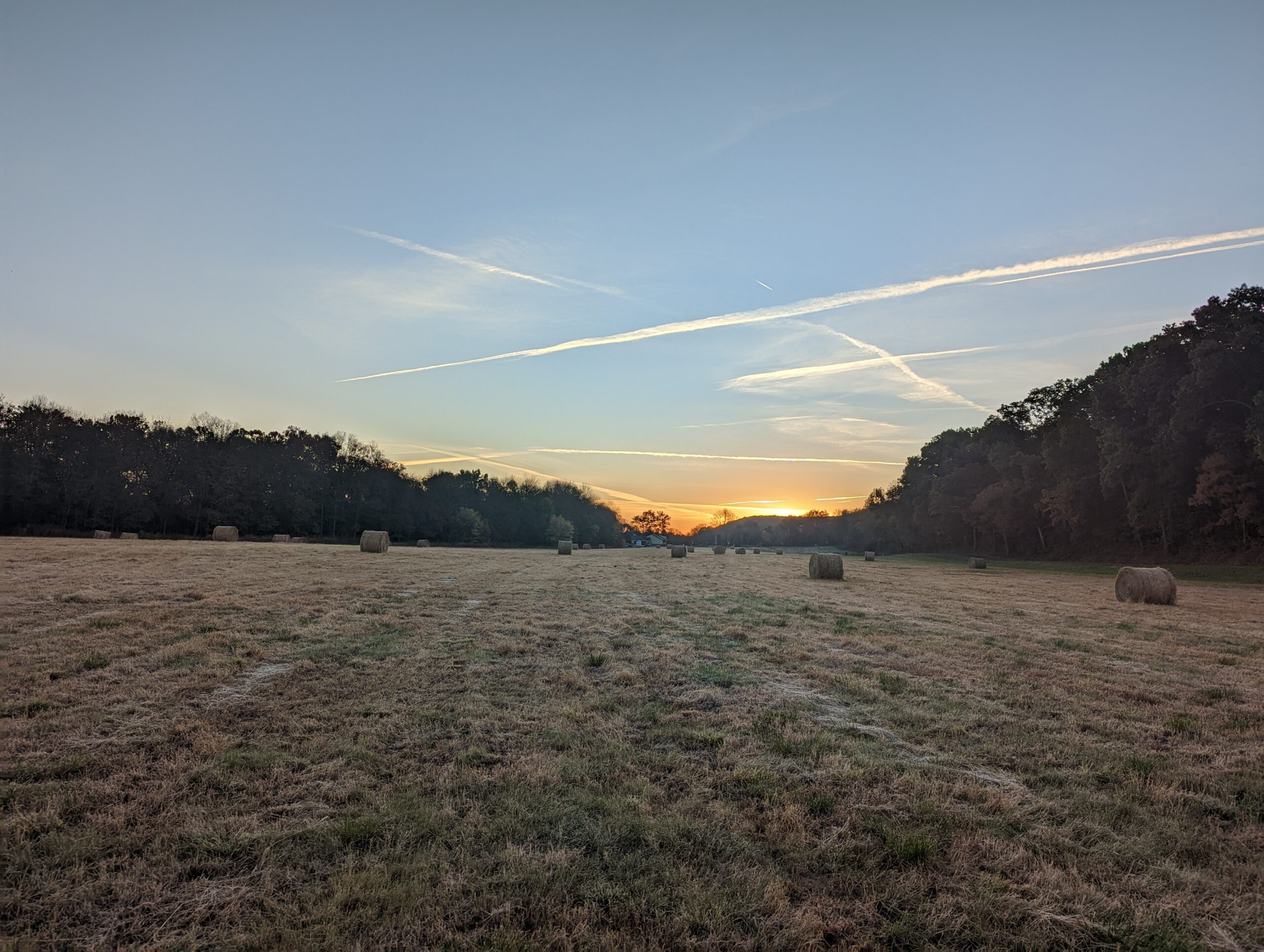 Morning frost on the field at Faith Family Farms