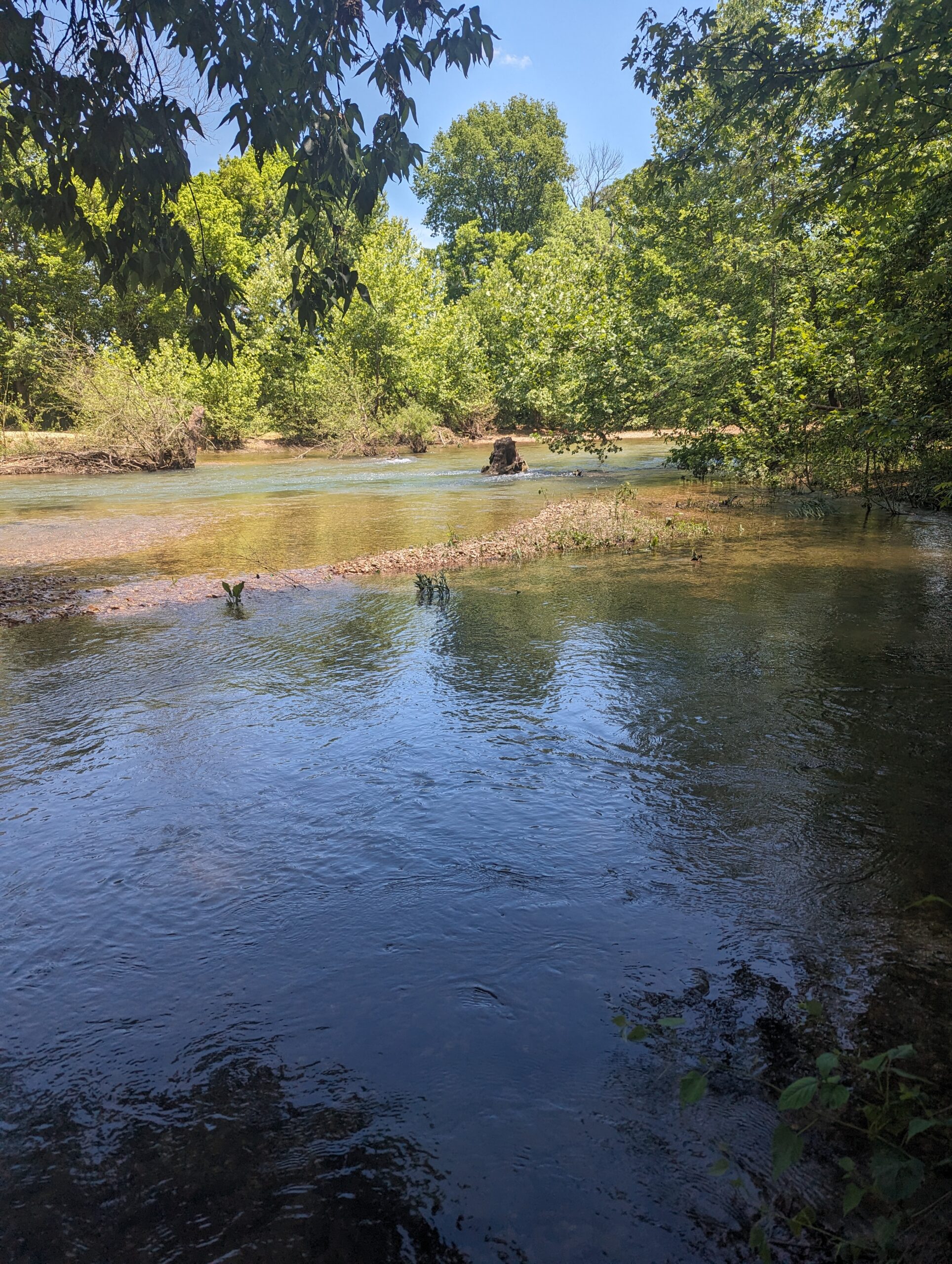 The Finley River wilderness venue at Faith Family Farms